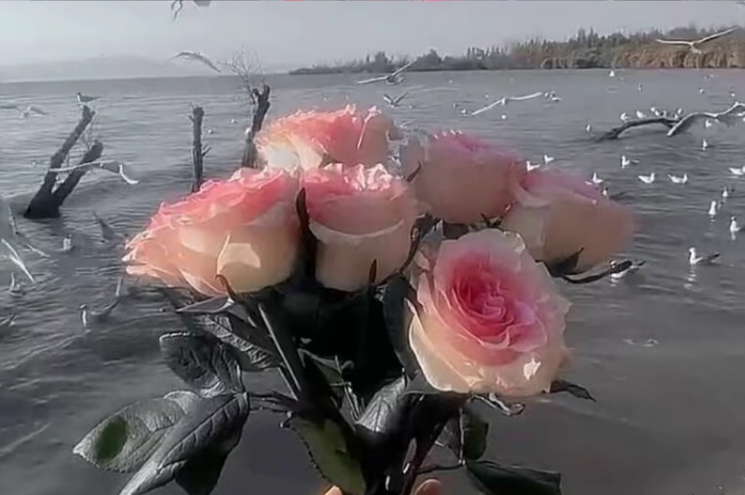 断绝关系很容易 难的是停止思念和不再回头